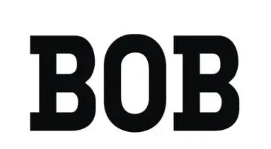 BOB博鱼·体育官网入口（官方）APP下载IOS手机下载
